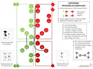 CATEGORICAL DNA v2.0